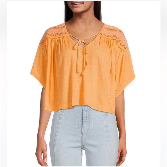 NWT Free People Market Embroidered Boho T-Shirt Short Sleeve V-Neck Over… - Picture 4 of 14